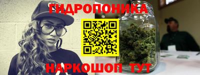 СК Гагарин