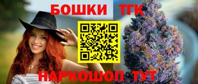 СК Гагарин