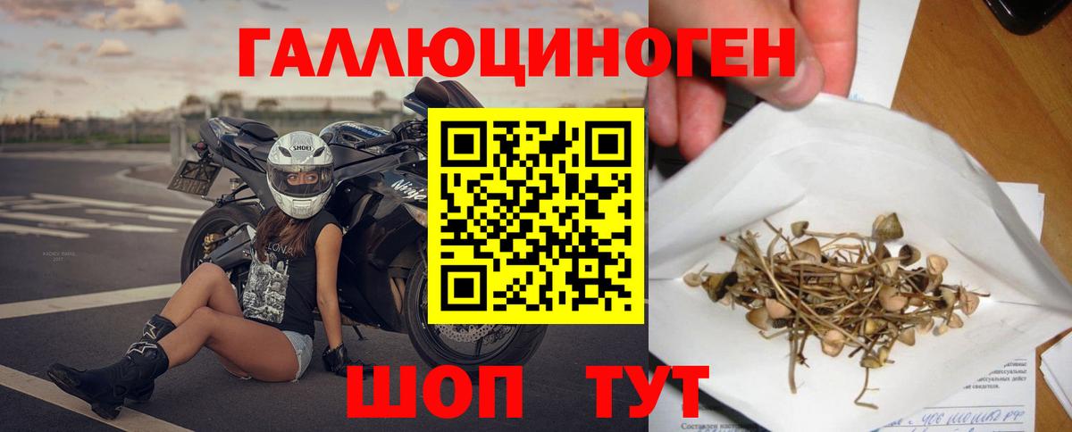 Галлюциногенные грибы прущие грибы Наро-Фоминск
