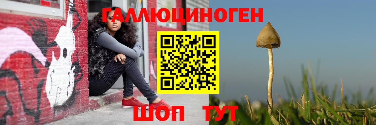 Псилоцибиновые грибы прущие грибы  Вход с VPN  Наро-Фоминск  Псилоцибиновые грибы Cubensis 